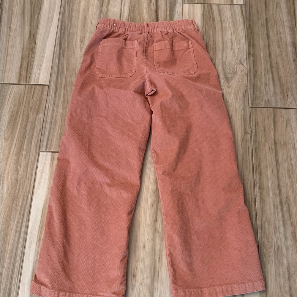 American Eagle Corduroy Pants - Picture 11 of 15